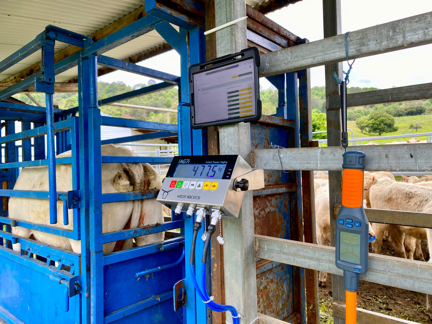 Digital Farm System