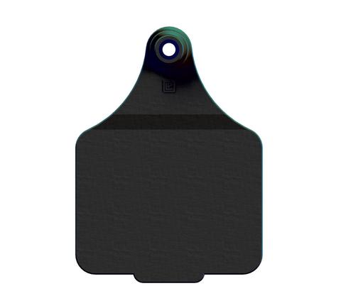 MAXI BLANK TAG (11x COLOURS)