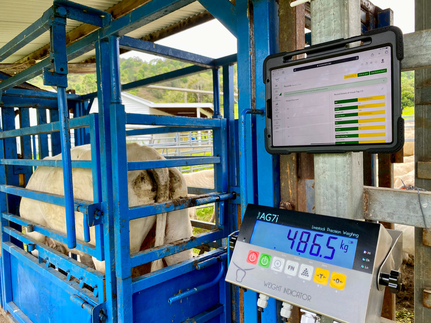 Digital Farm System